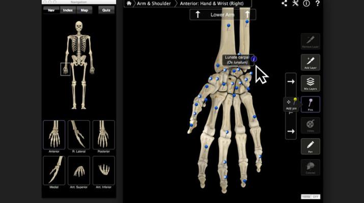 app skeletron system para iOS