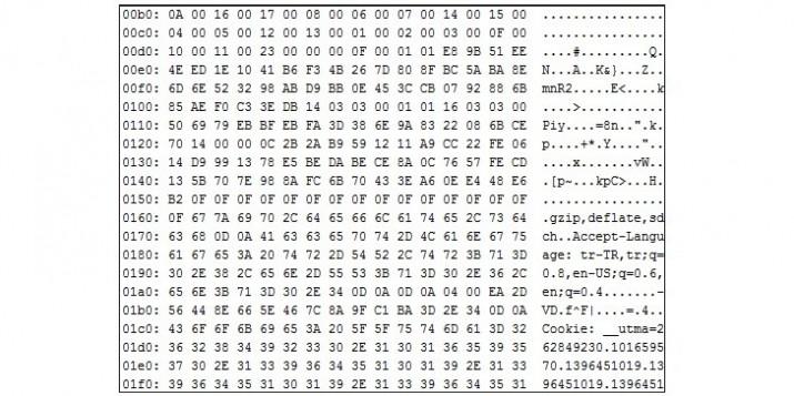 Hackers-Claim-to-Have-Found-New-OpenSSL-Flaw-Similar-to-Heartbleed-439556-2