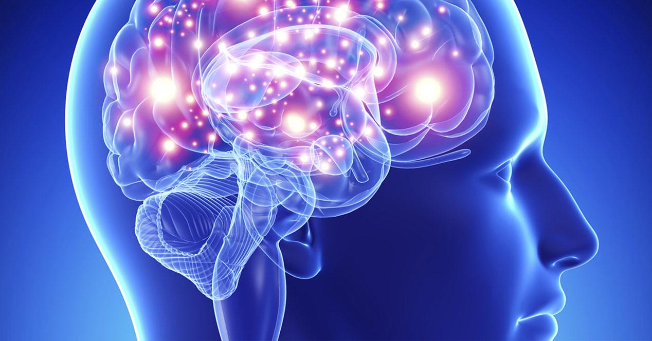 Mallas electrÃ³nicas, una tecnologÃ­a que puede inyectarse en tu cerebro