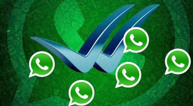 whatsAppcheckAzul