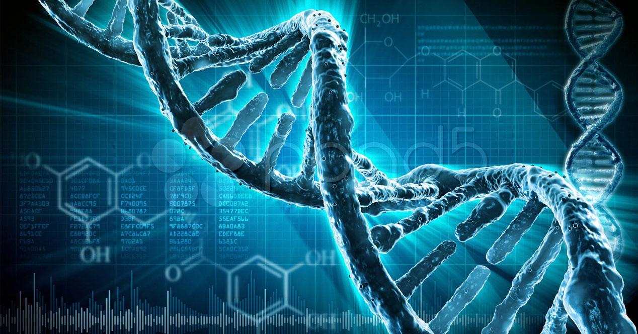 malware en ADN