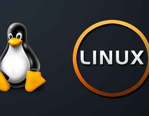 Las 5 distros de Linux más curiosas