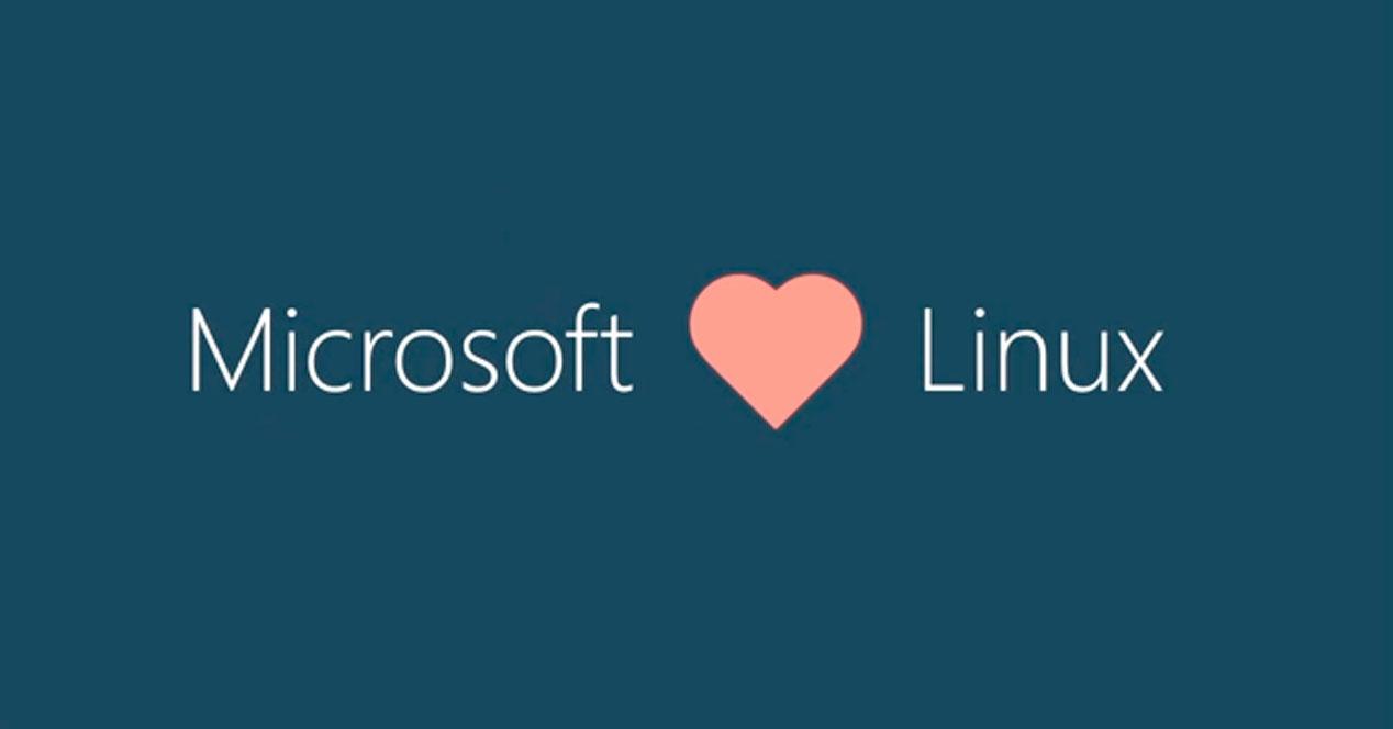 Microsoft Linux Foundation