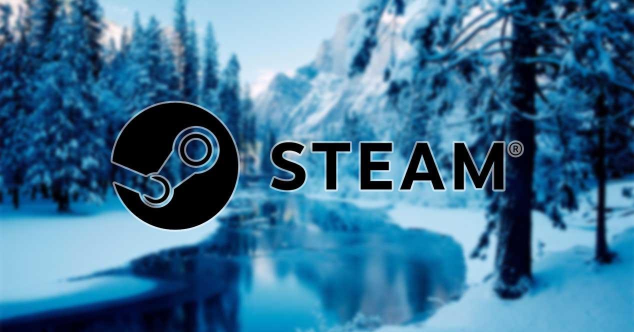 steam-invierno