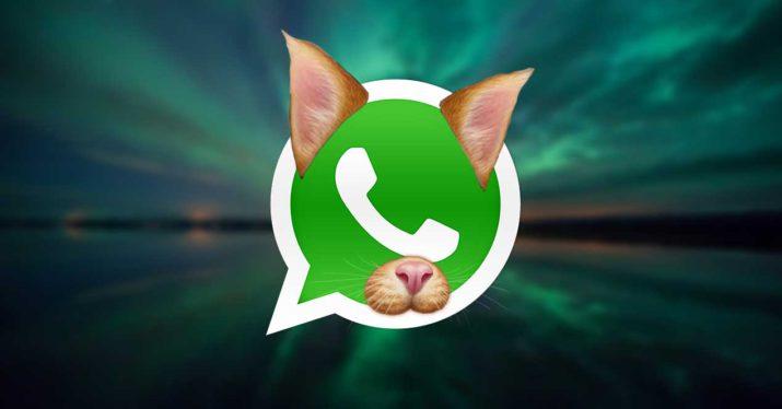 whatsapp-gato-filtro-filtros