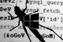 Windows Bounty Program
