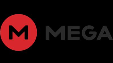 Seguridad Mega Privacy