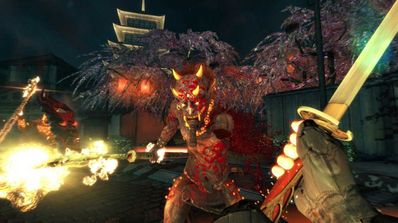 shadow warrior