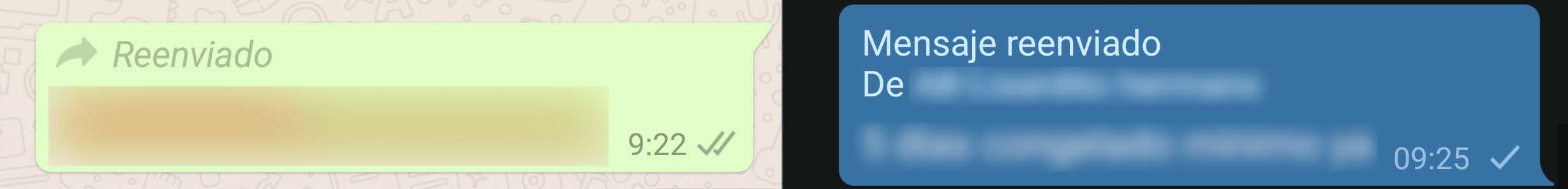 reenviado whatsapp vs telegram