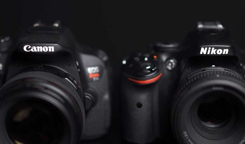 canon vs nikon