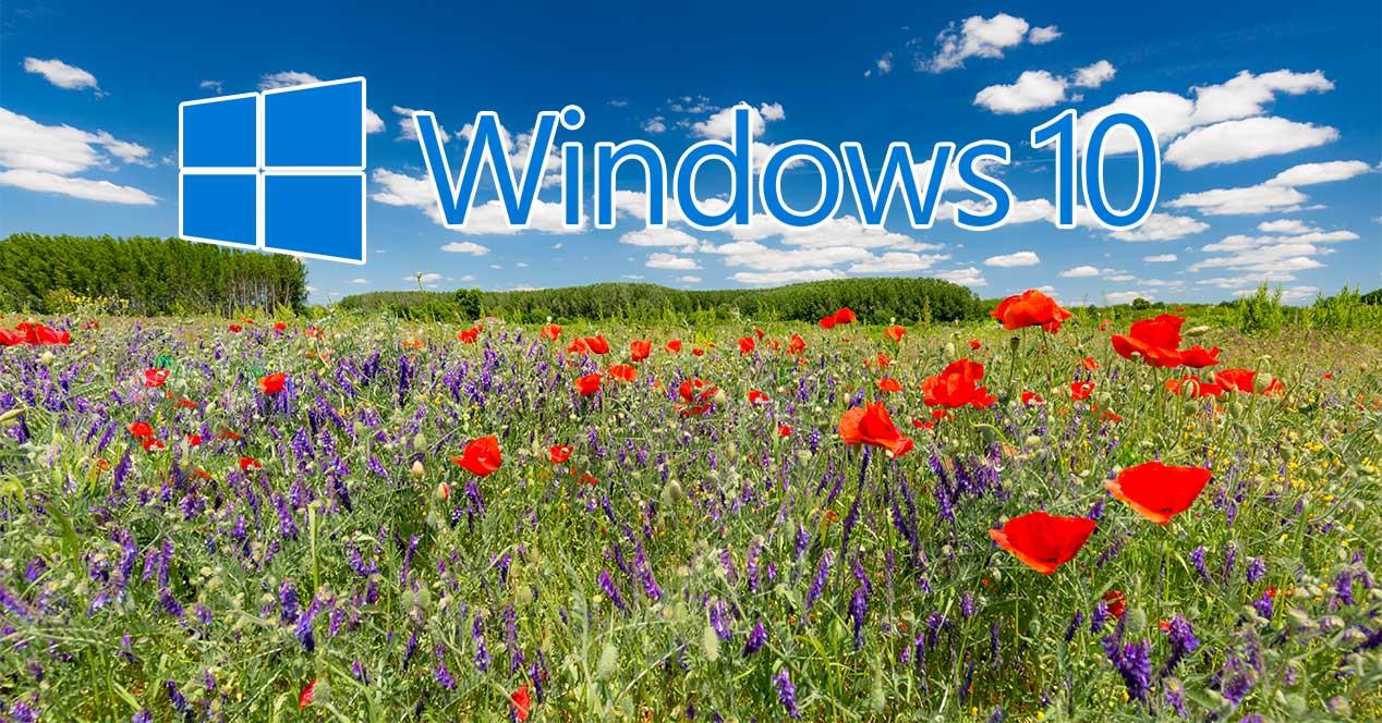 windows 10 april 2019 update