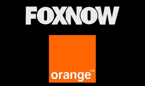 orange foxnow