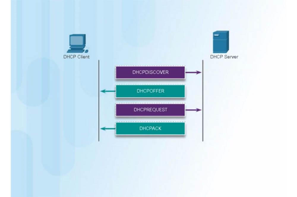 DHCP cliente y DHCP server