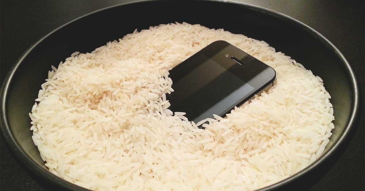 móvil mojado arroz