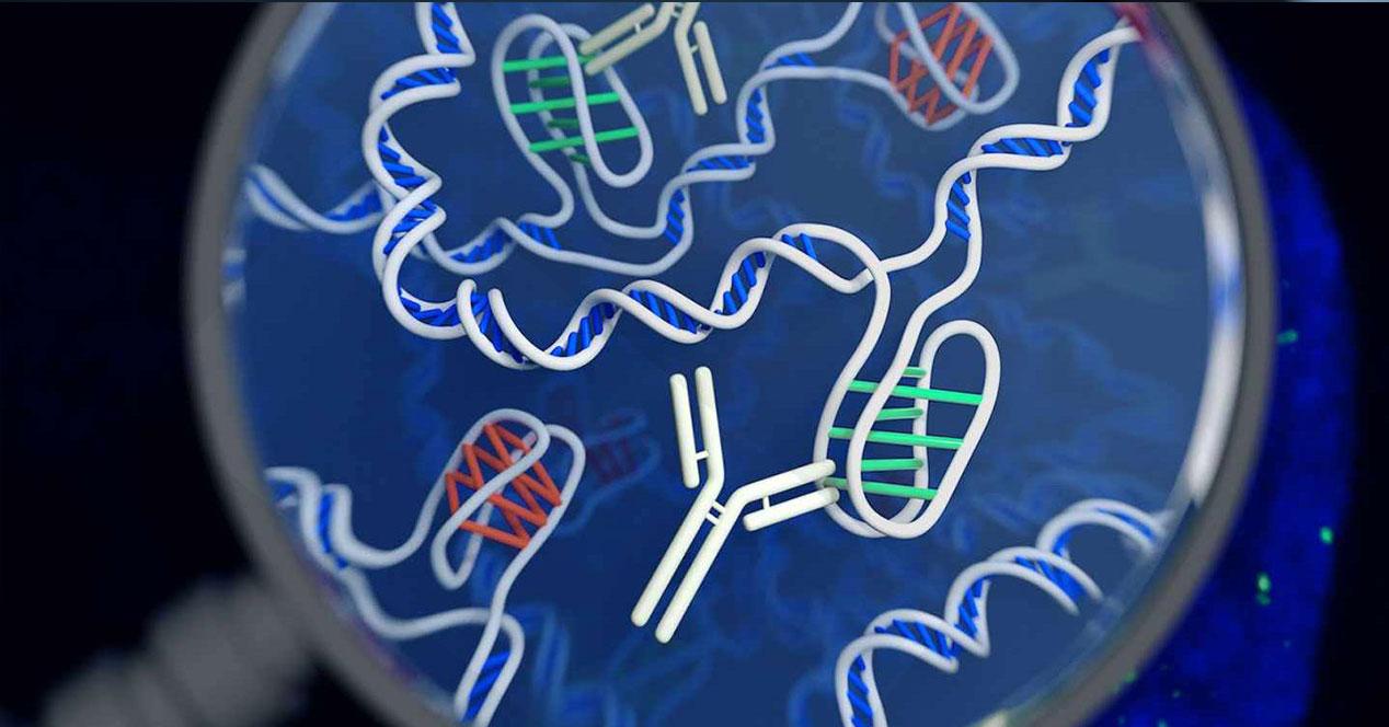 CÃ³mo hacer un test de ADN, precio y quÃ© revela - Ancestros y enfermedades