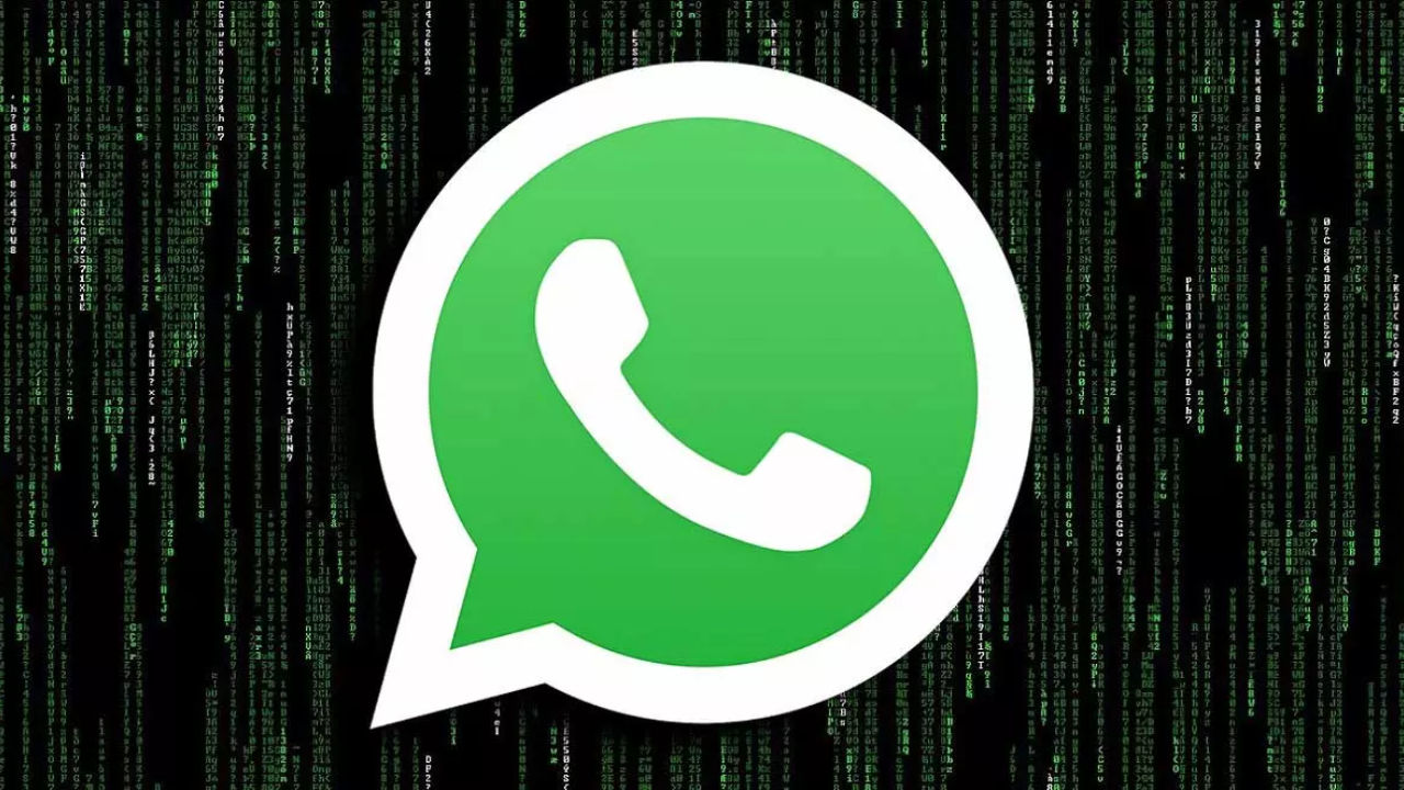 WhatsApp recuperar datos al perder móvil