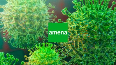 amena coronavirus