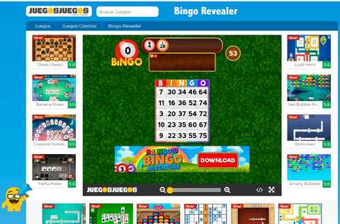 Opciones de bingo en línea
