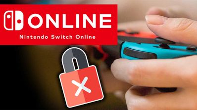 nintendo switch hack