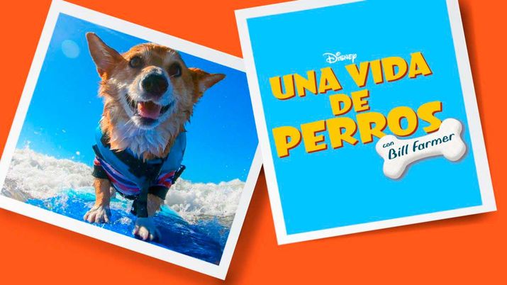 Mejores documentales en Disney+ - docuseries de National Geographic