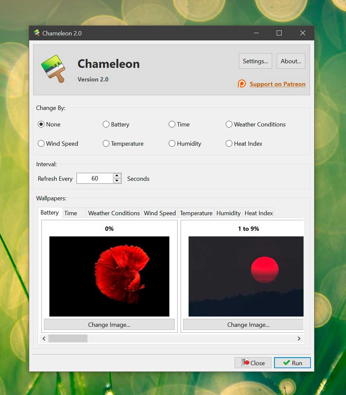 Chameleon - fondo de pantalla de Windows 10