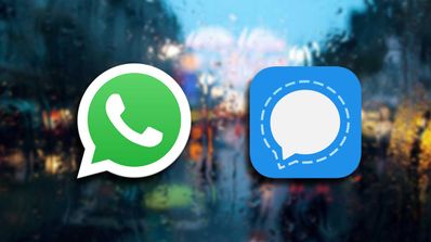 signal whatsapp