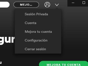 Menú Spotify