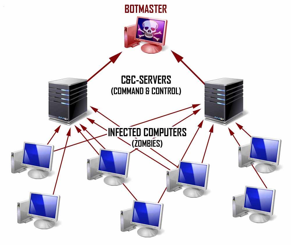 estrutura de botnet