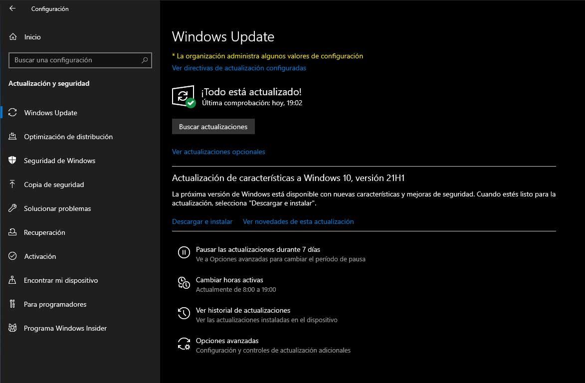 windows 10 21h1 update