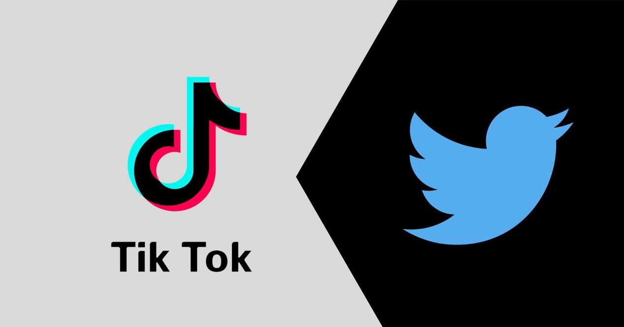 Why Does TikTok Add Stories If Twitter Has Removed Them? - Bullfrag NFTs

