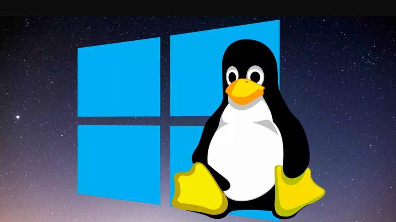 El pingüino de Linux con el fondo de Windows