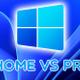 windows 11 home vs pro
