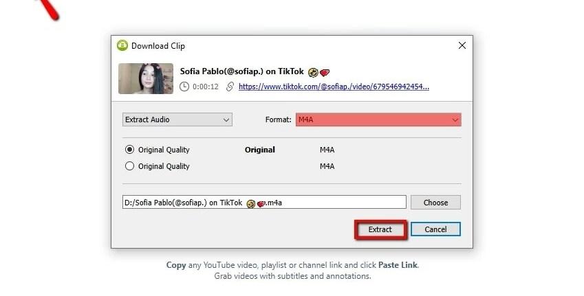 4K Video Downloader TikTok