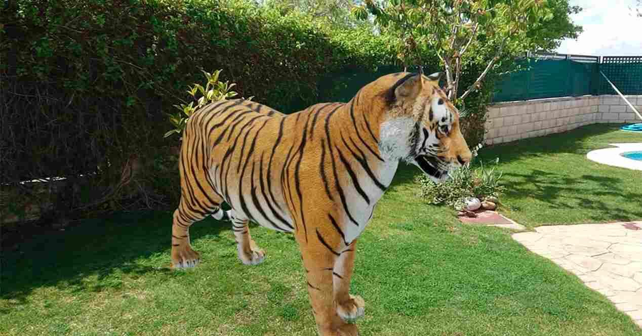 Animales 3D realidad aumentada Google