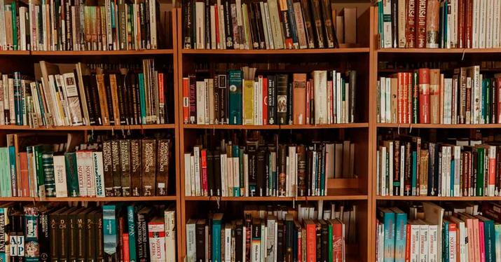 bookshelf full of books