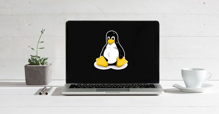 linux webs