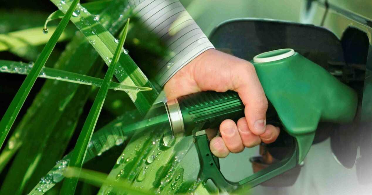 Coches gasolina futuro bioetanol