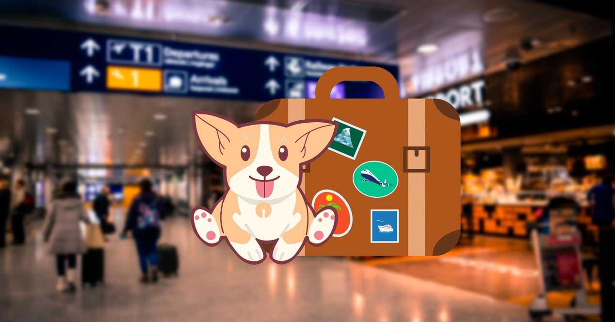 Viajar mascotas