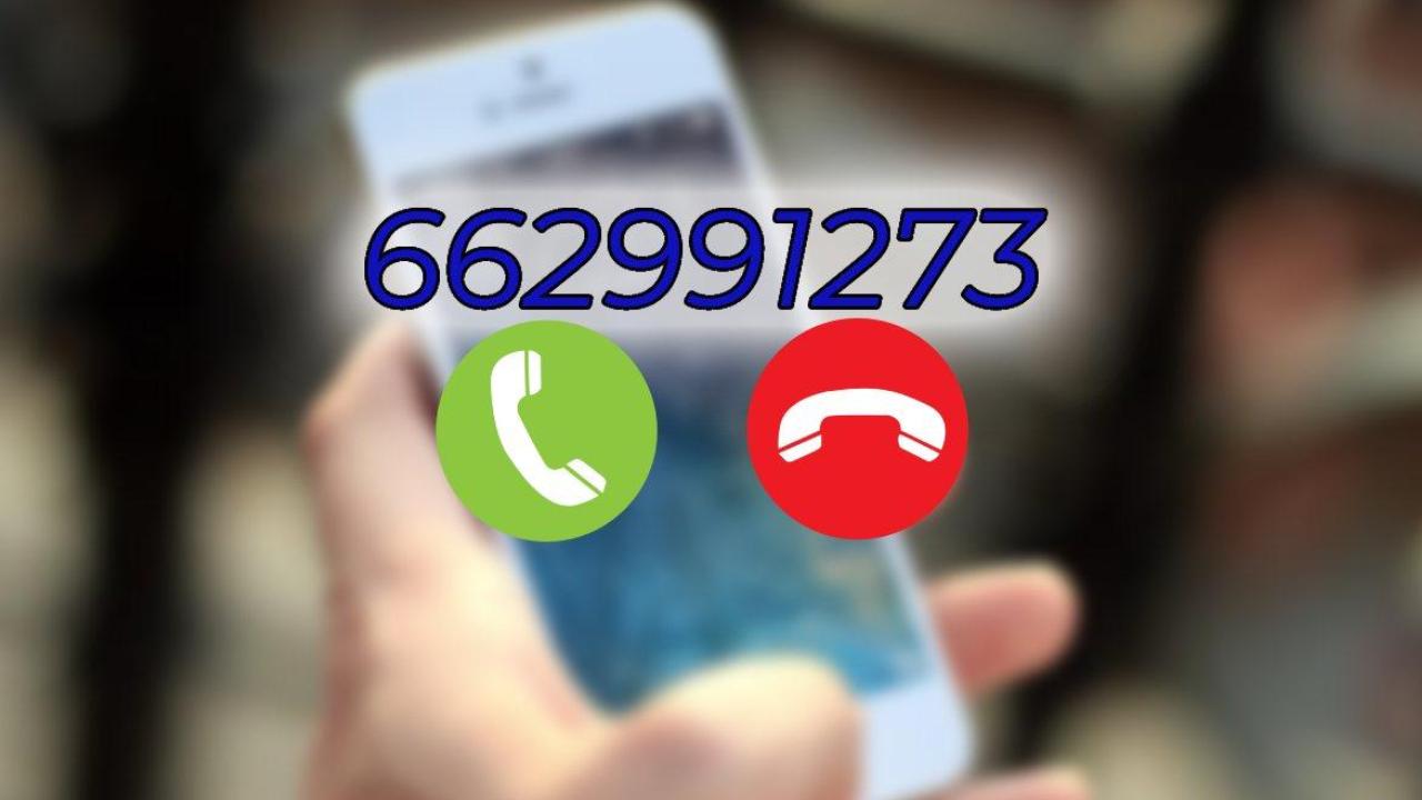 llamadas 662991273