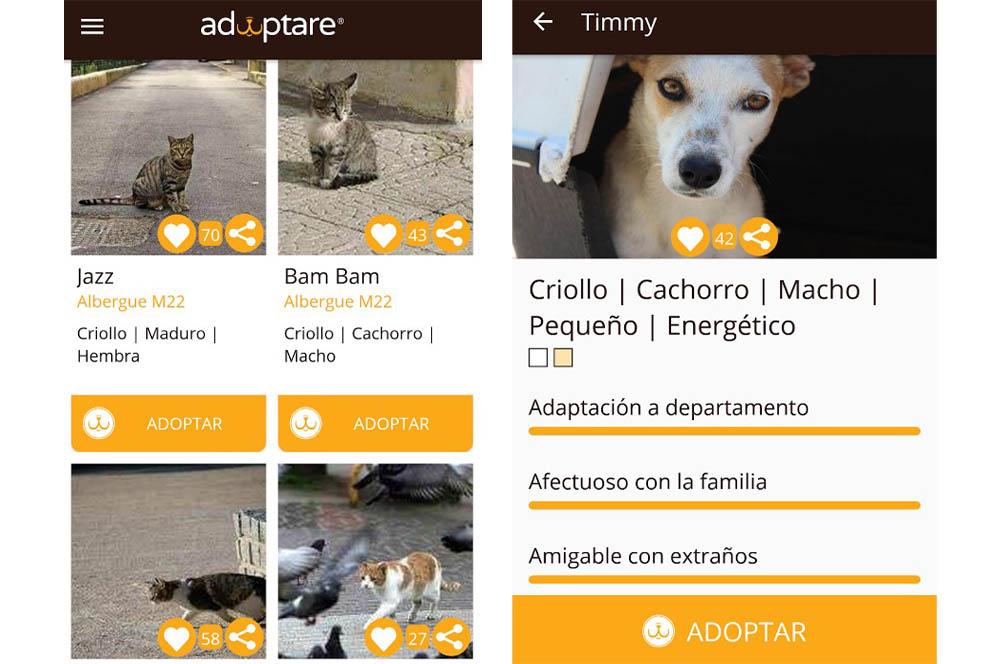 Adoptere app