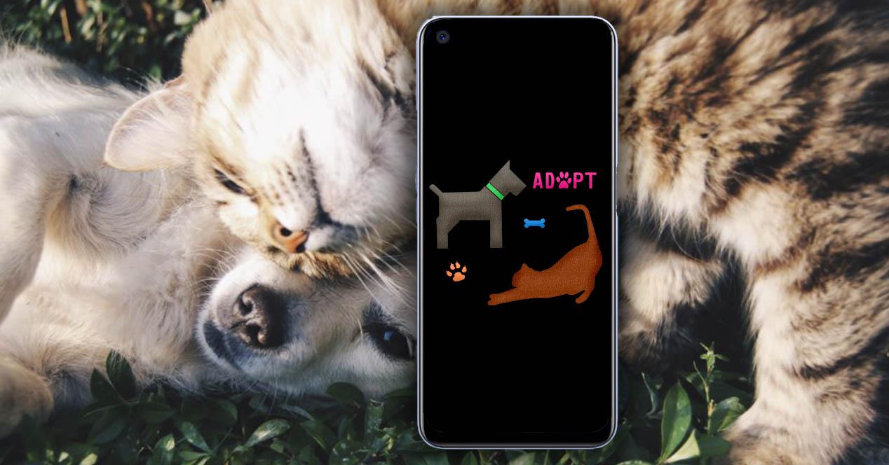 apps móvil adoptar perros gatos