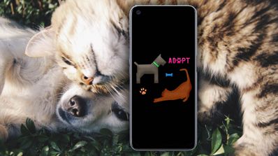 apps móvil adoptar perros gatos
