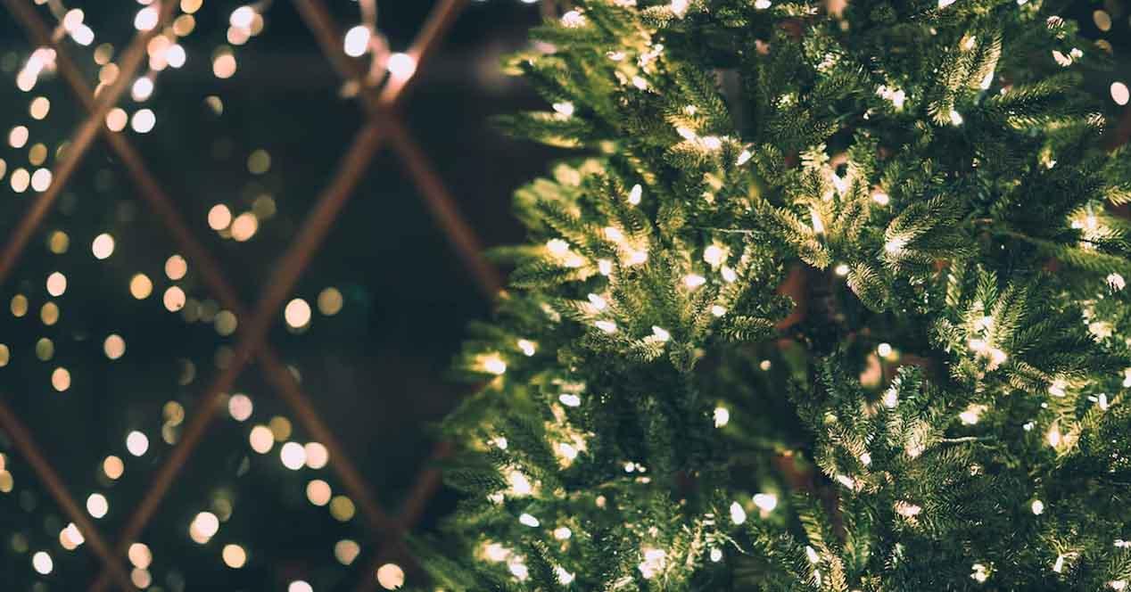 luces de navidad luciendo sobre un arbol en fechas especiales
