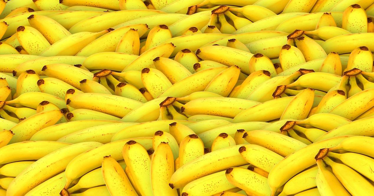 Las bananas son bayas.