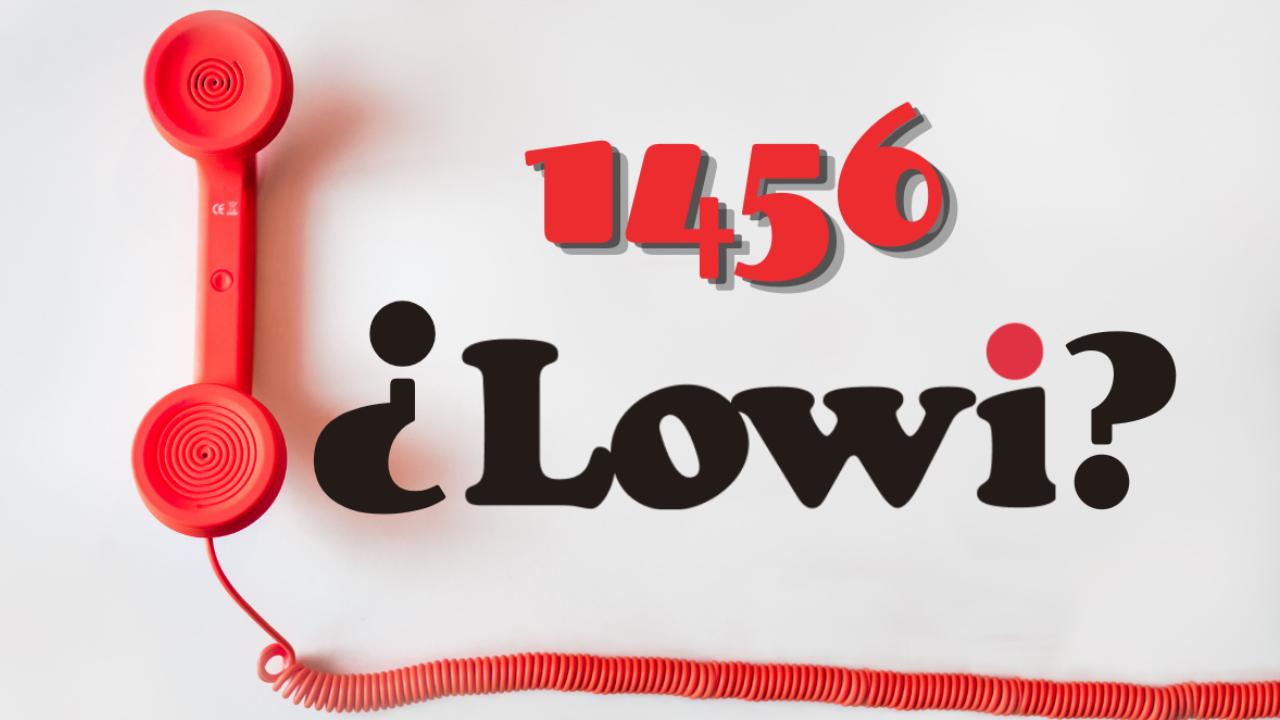 llamadas 1456 lowi