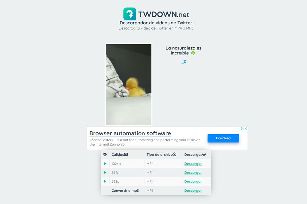 twdown web