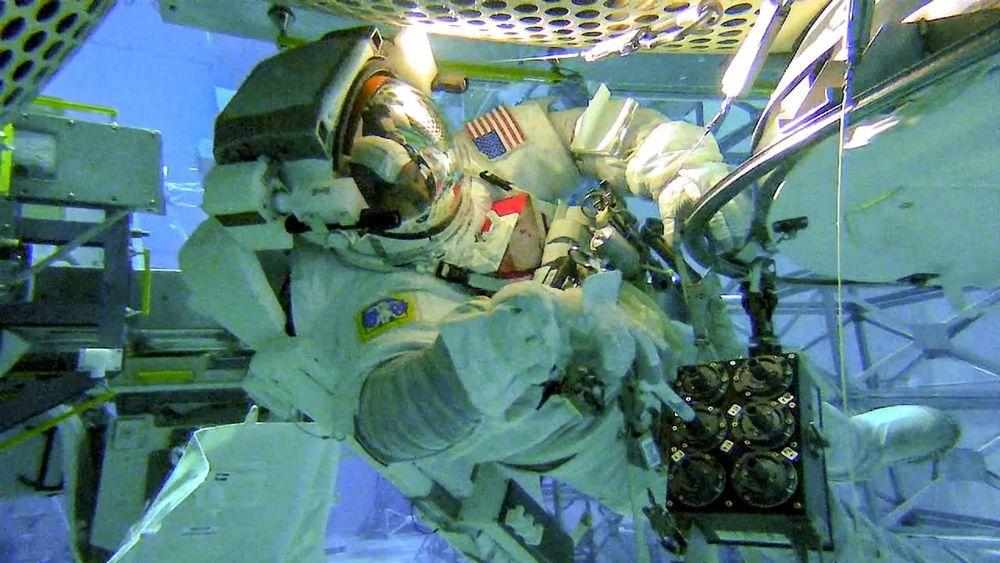 Ecco come potrai vedere gli astronauti della Crew-7 decollare grazie a SpaceX e alla NASA