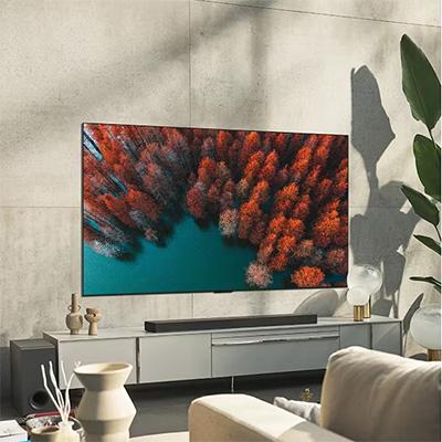 Smart TV LG OLED G2 Evo Gallery Edition (65 pulgadas)