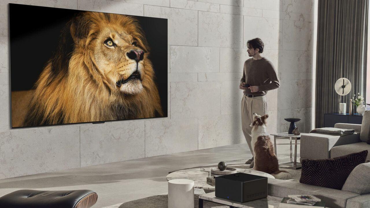 Un hombre mirando la imagen de un león en su Smart TV LG