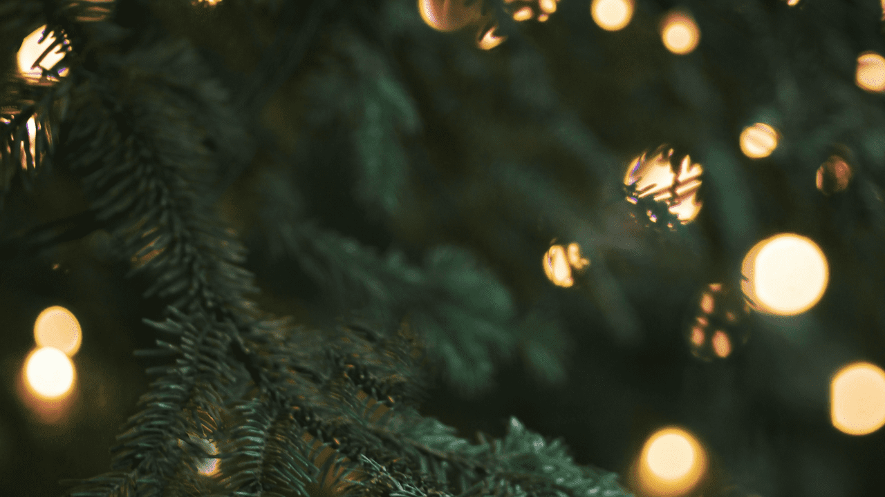 arbol de navidad con luces